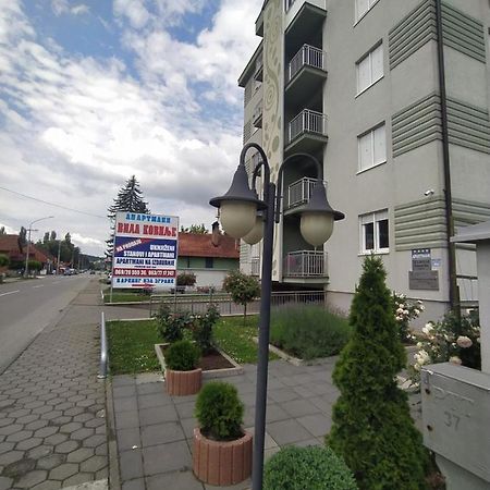 Apartmani - Vila Kovilje Banja Koviljaca Luaran gambar