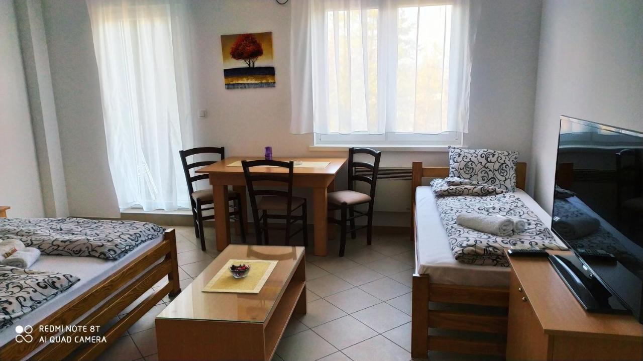 Apartmani - Vila Kovilje Banja Koviljaca Luaran gambar