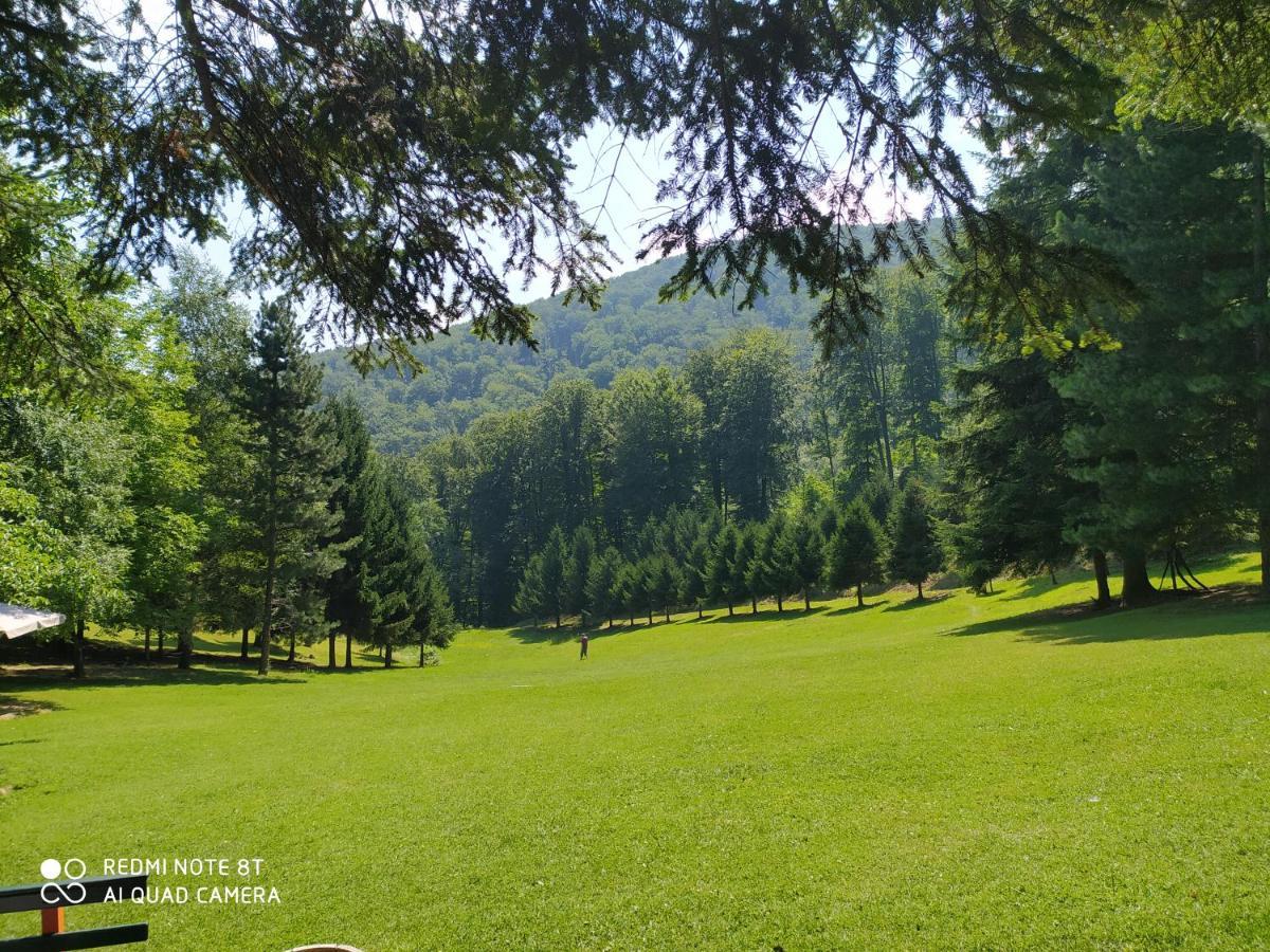 Apartmani - Vila Kovilje Banja Koviljaca Luaran gambar