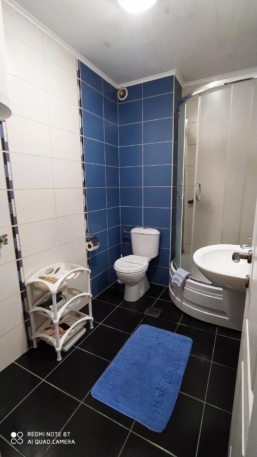 Apartmani - Vila Kovilje Banja Koviljaca Luaran gambar