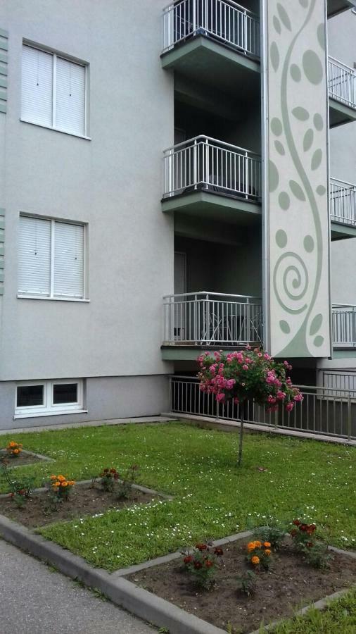 Apartmani - Vila Kovilje Banja Koviljaca Luaran gambar