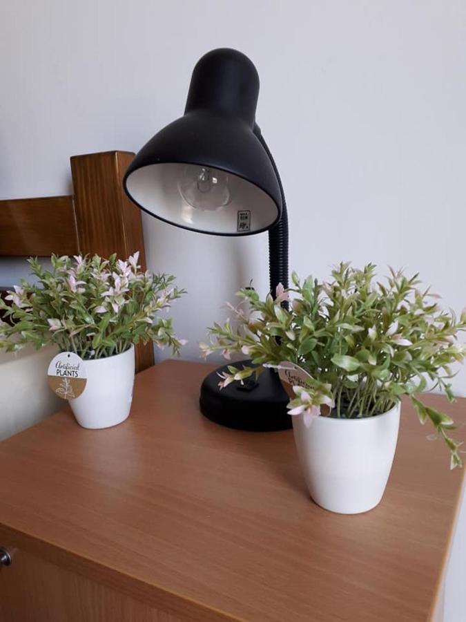 Apartmani - Vila Kovilje Banja Koviljaca Luaran gambar